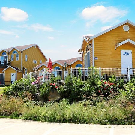 Healing House Seogwipo Exterior foto