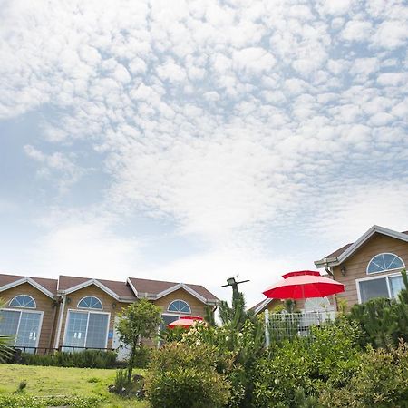 Healing House Seogwipo Exterior foto