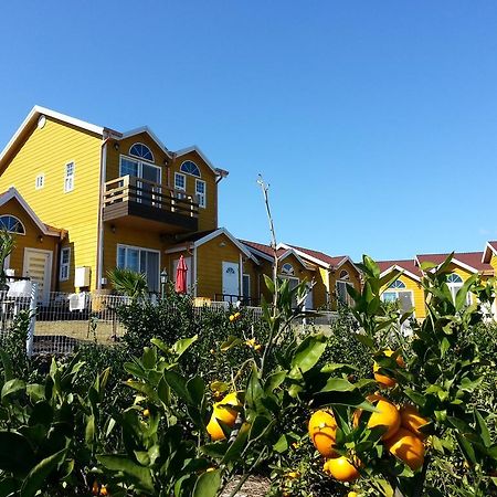 Healing House Seogwipo Exterior foto