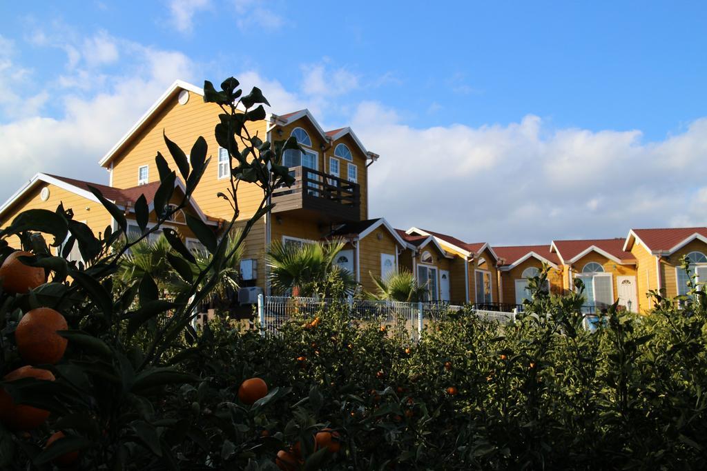 Healing House Seogwipo Exterior foto