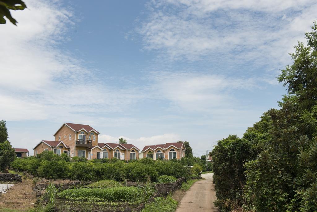 Healing House Seogwipo Exterior foto